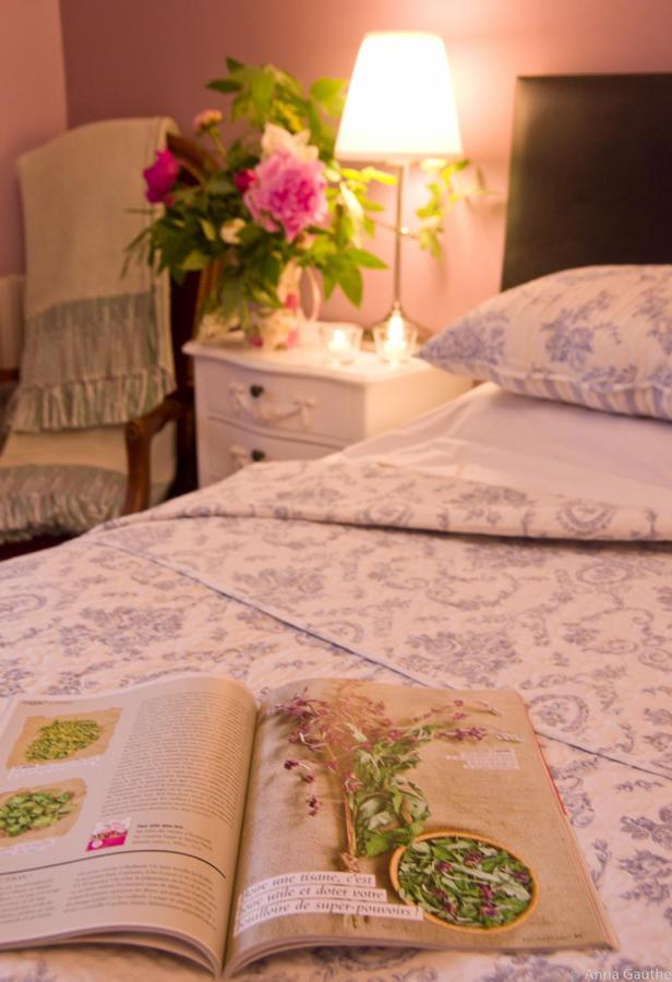Bed and Breakfast Le Cheval Blanc Saint-Antonin Exteriér fotografie