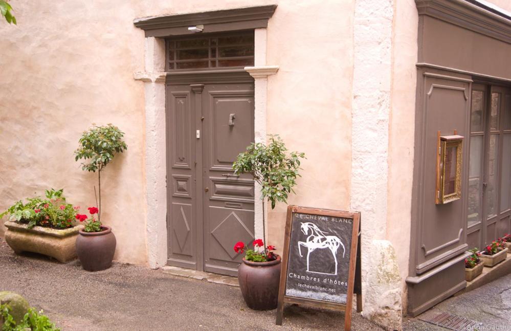 Bed and Breakfast Le Cheval Blanc Saint-Antonin Exteriér fotografie